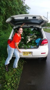 A car full of leaves! Enough though for only 2 days...