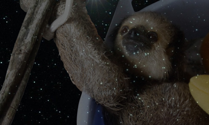 One Little Bright Star was added to the Constellation of Sloth