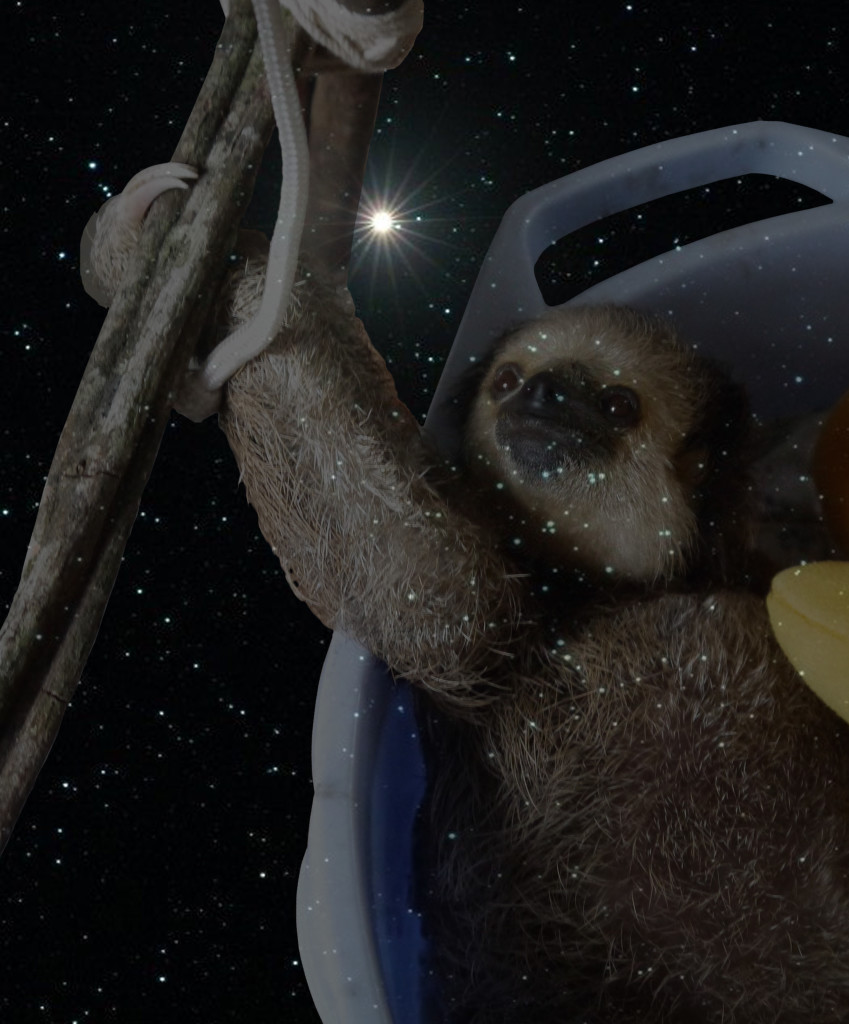 Constellation Sloth